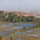 Illustration for article titled This Gorgeous Stained Glass Landscape Is Actually a Rice Field